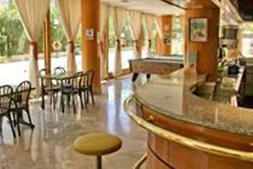 Flamingo - Adults Recommended