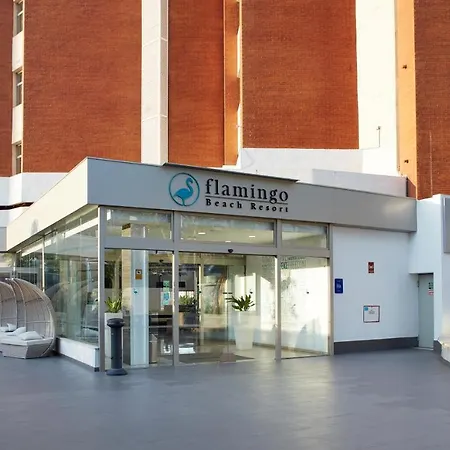 Flamingo - Adults Recommended 公寓式酒店 4*