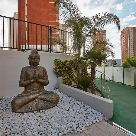 Flamingo - Adults Recommended